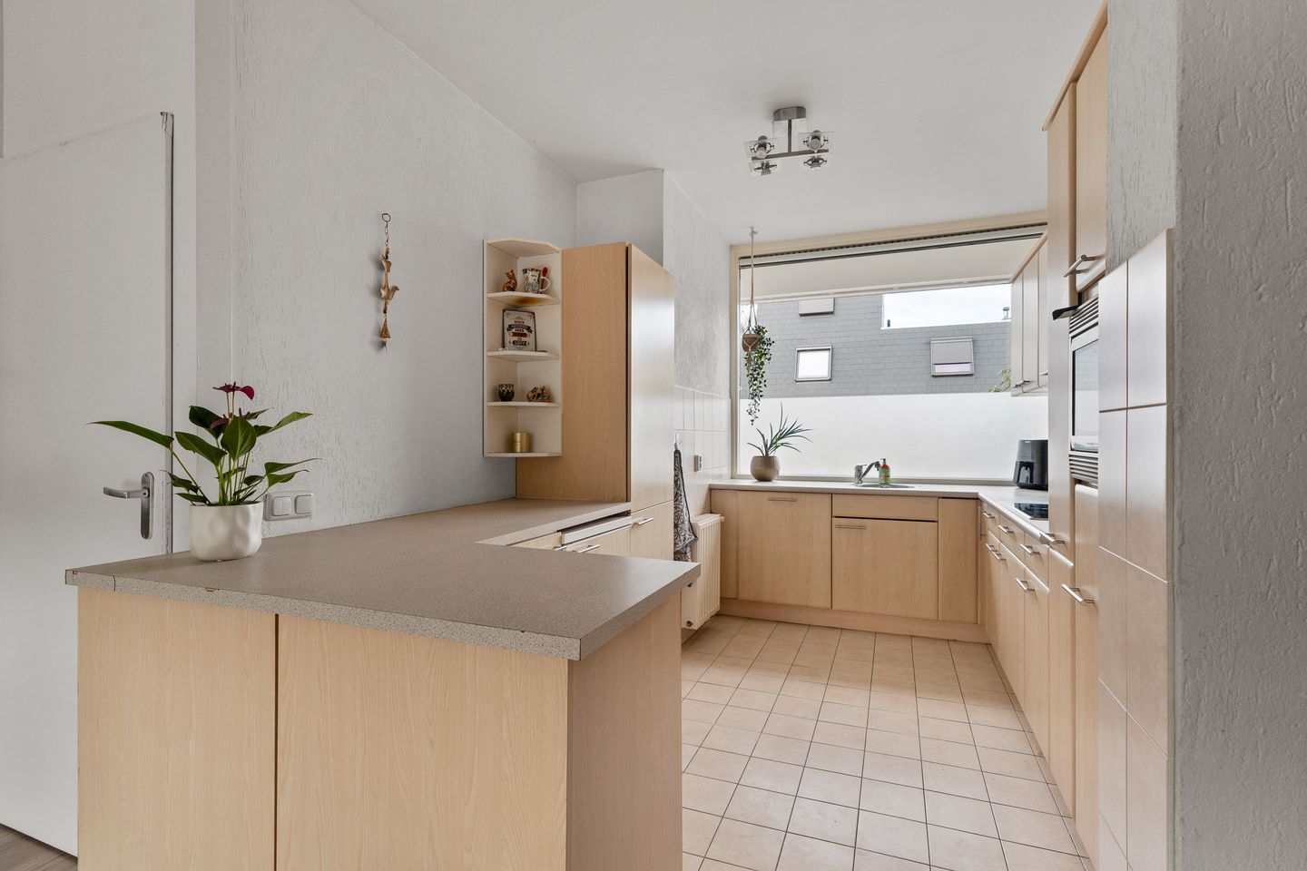 Foto 10 van Zwanenveld 3024