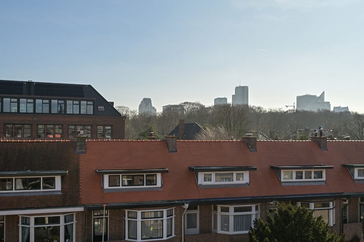 Foto 39 van Roelofsstraat 20