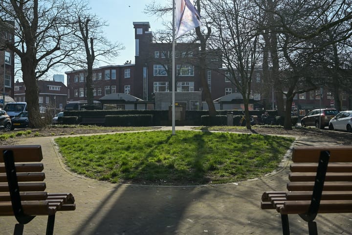 Foto 41 van Roelofsstraat 20