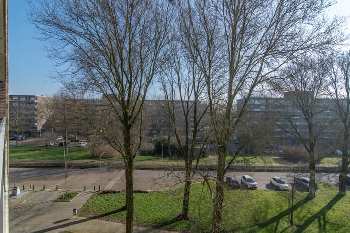 Foto 17 van Dunantstraat 953