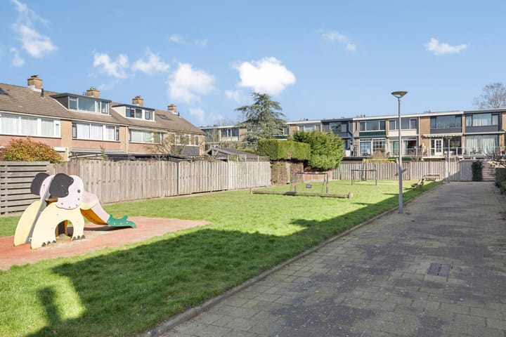 Foto 5 van Passiebloem 29