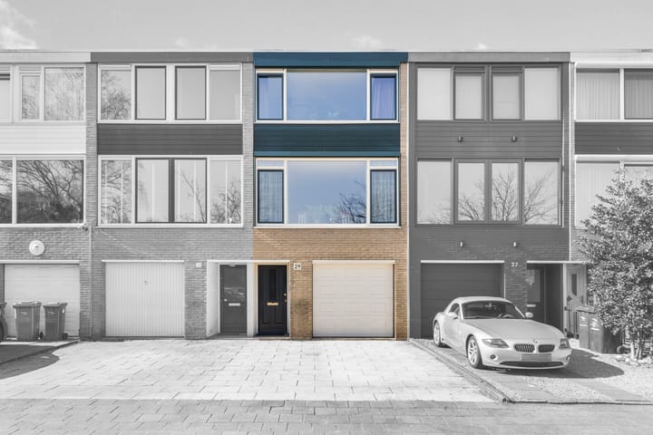 Foto 6 van Passiebloem 29