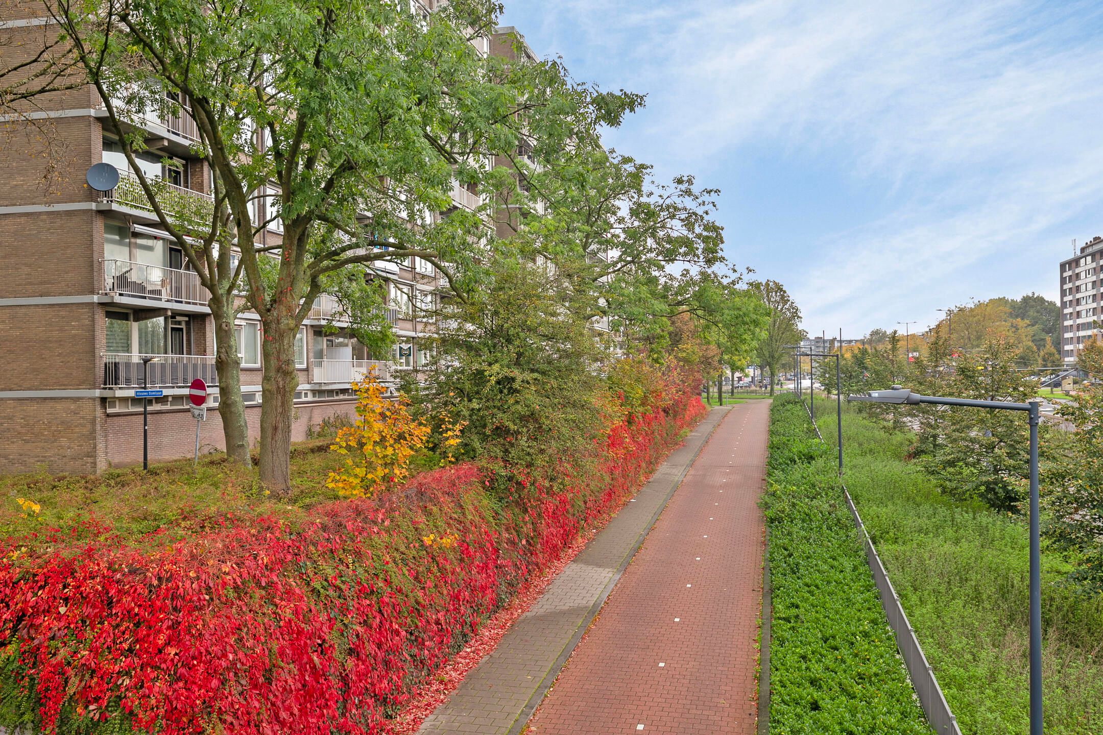 Photo 9 of Nieuwe Damlaan 403