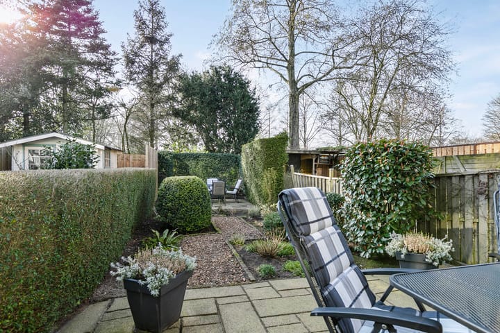 Foto 4 van Bolkruid 191