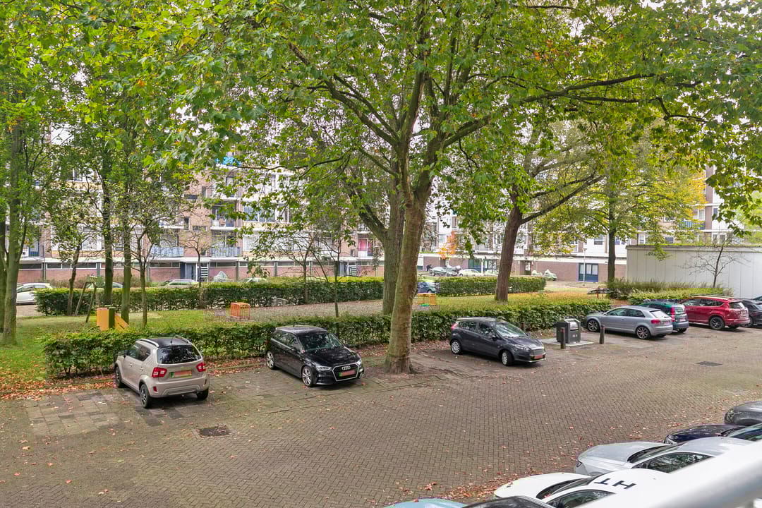 Photo 32 of Nieuwe Damlaan 403