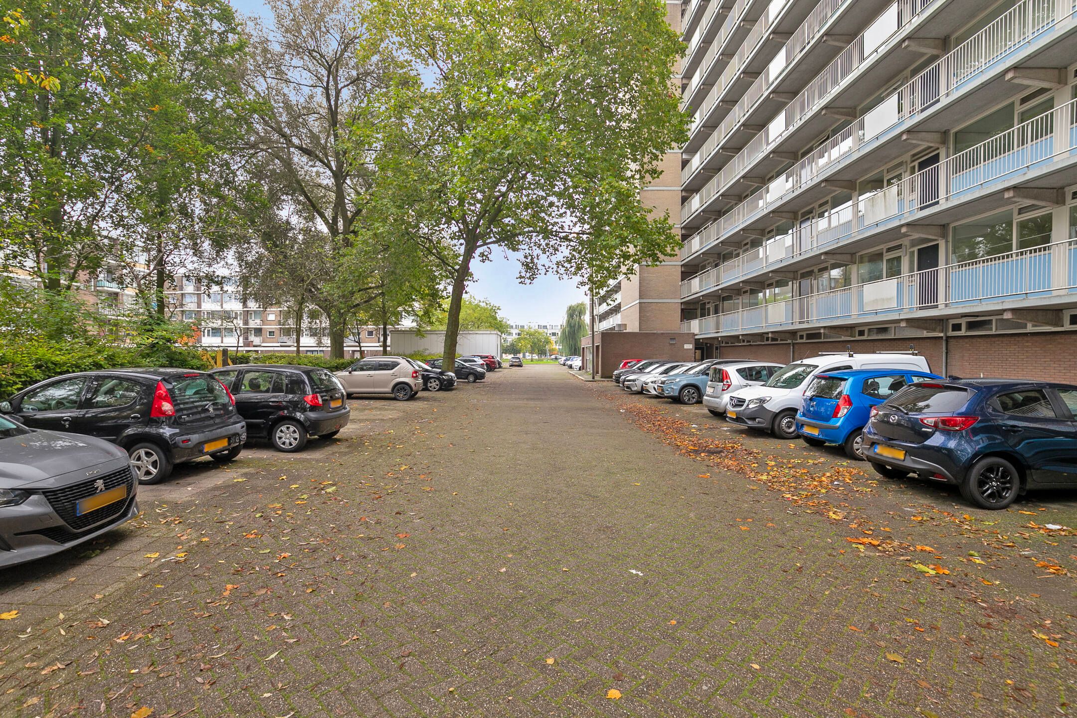 Photo 33 of Nieuwe Damlaan 403