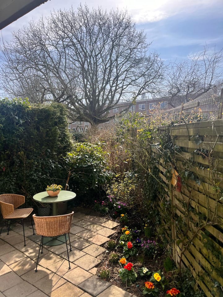 Photo 3 of Johannes van der Waalsstraat 80-H