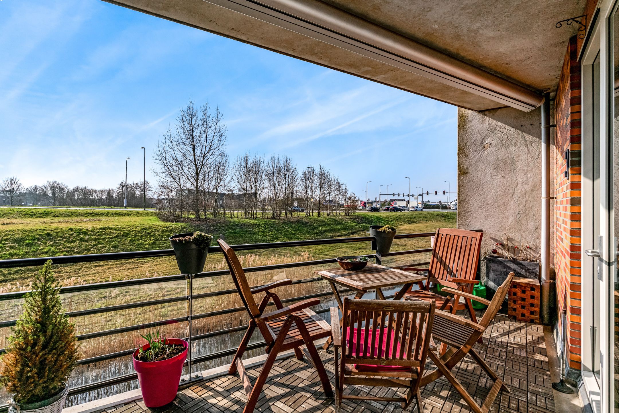 Foto 3 van Ringslang 121