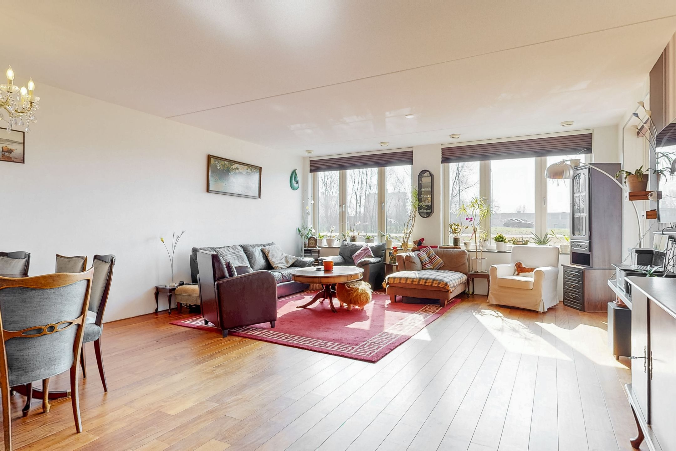 Foto 6 van Ringslang 121