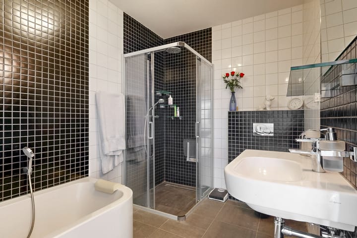 Foto 9 van Ringslang 121