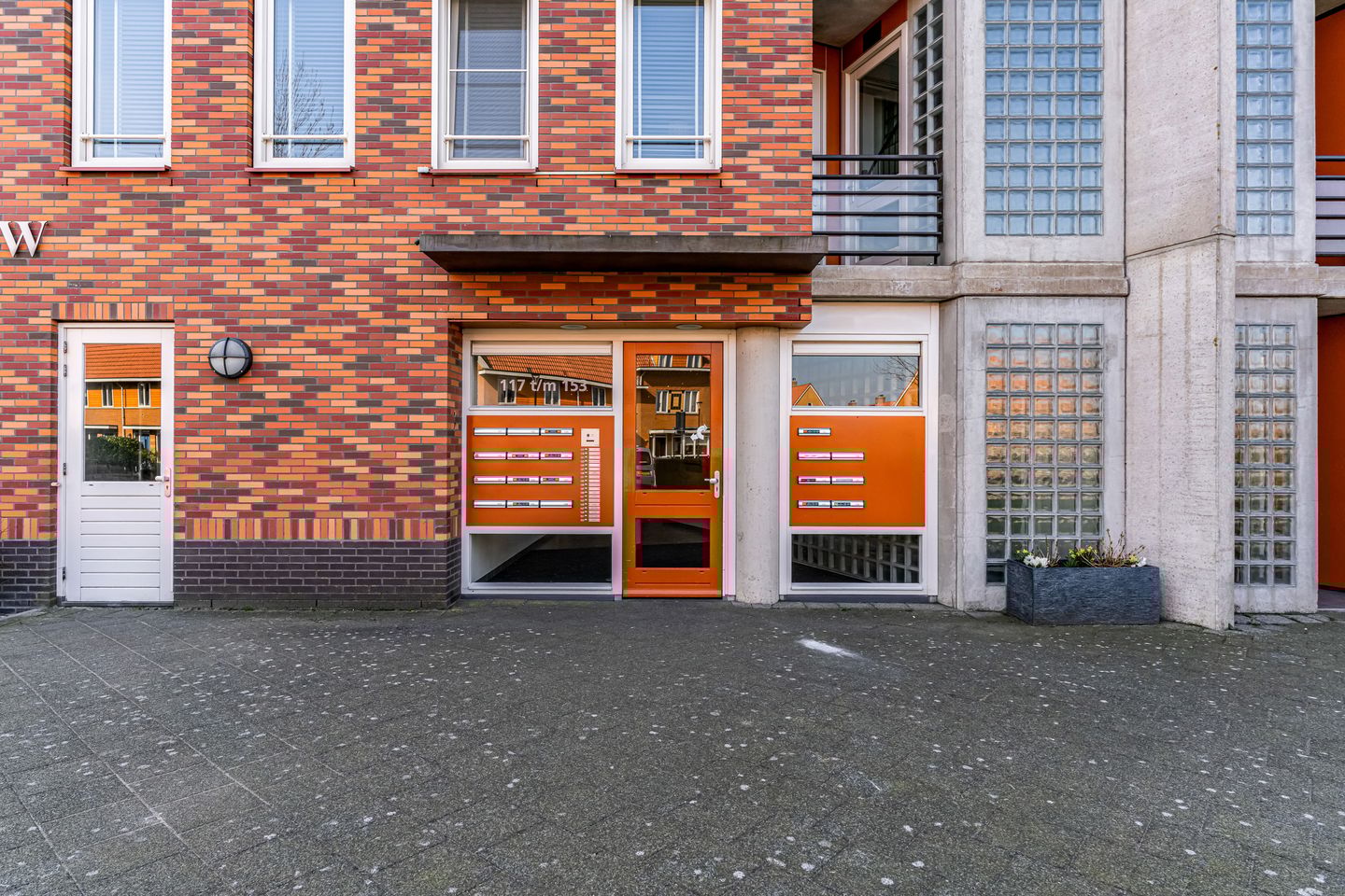 Foto 10 van Ringslang 121