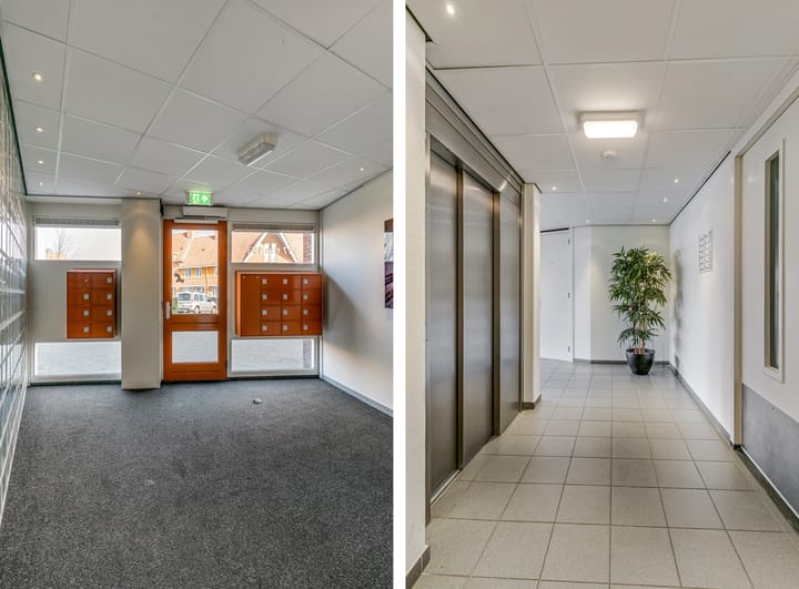 Foto 11 van Ringslang 121