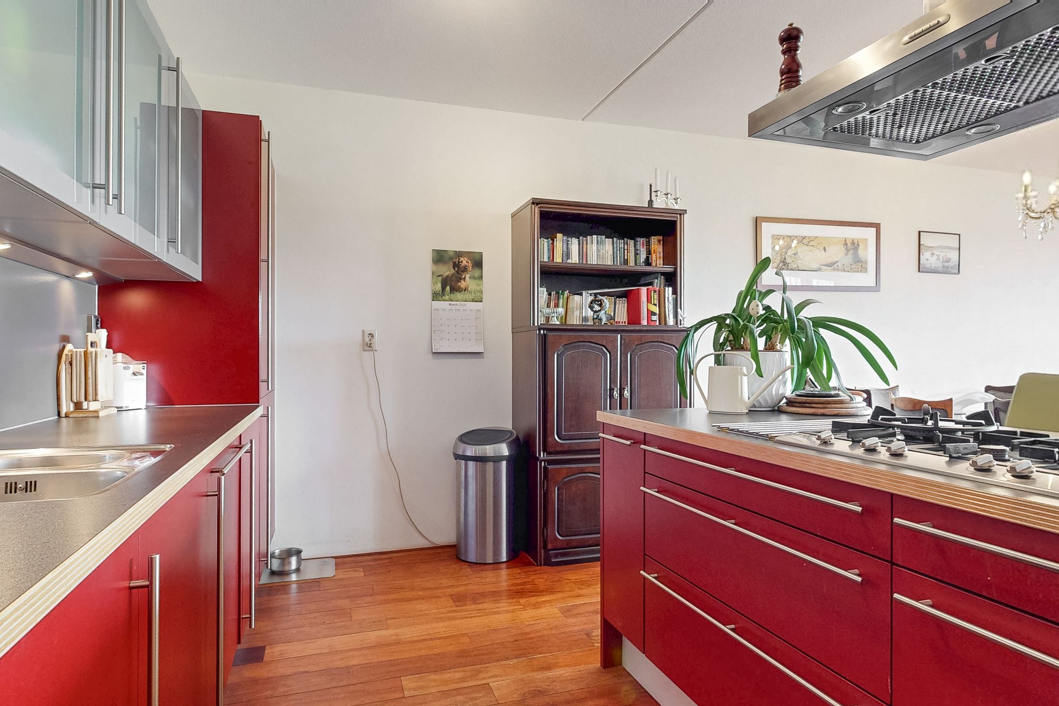 Foto 15 van Ringslang 121