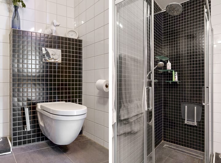 Foto 23 van Ringslang 121