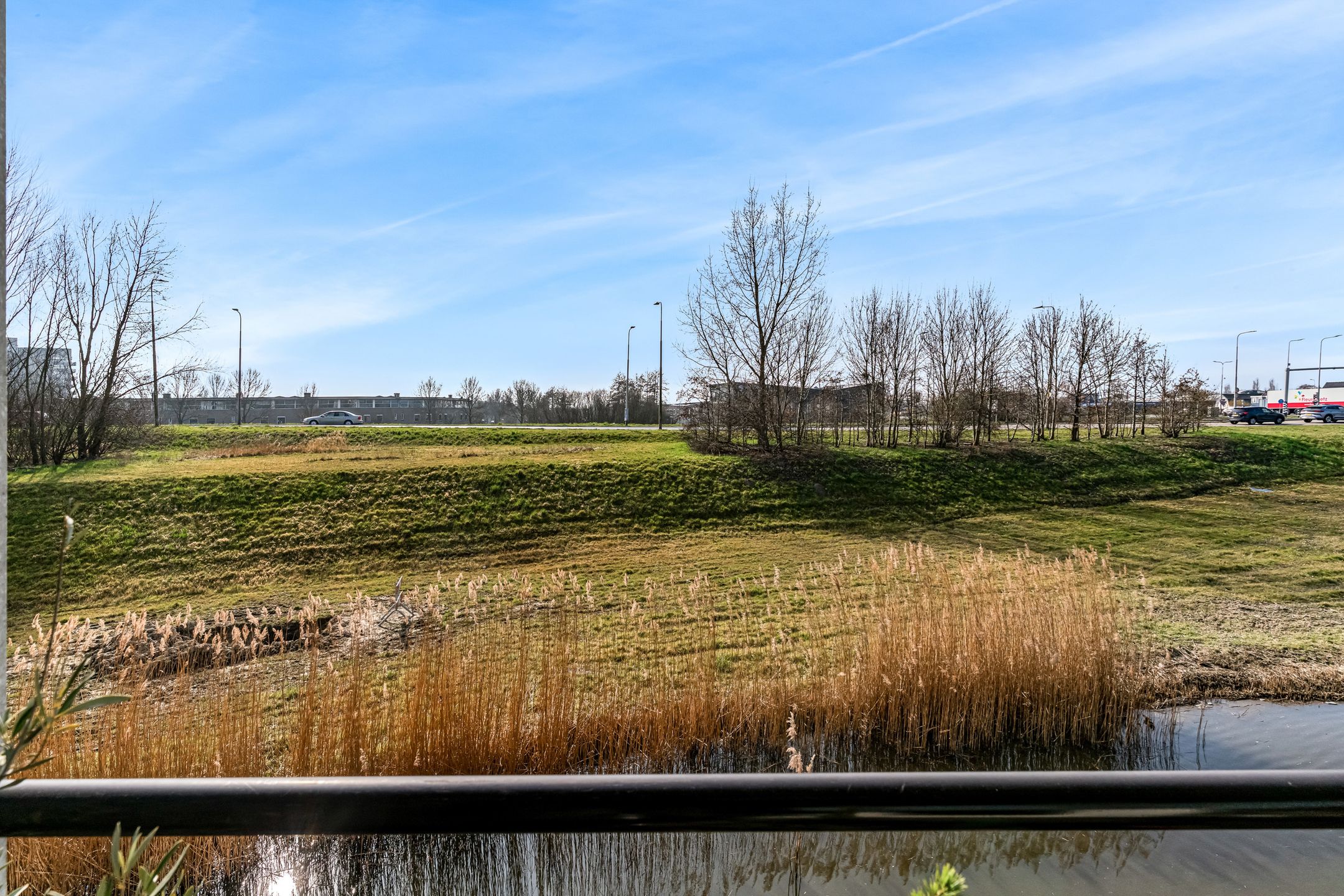 Foto 27 van Ringslang 121