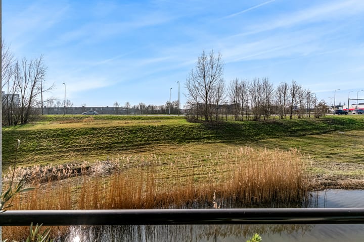 Foto 27 van Ringslang 121