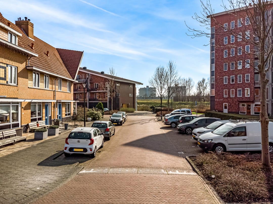 Foto 32 van Ringslang 121