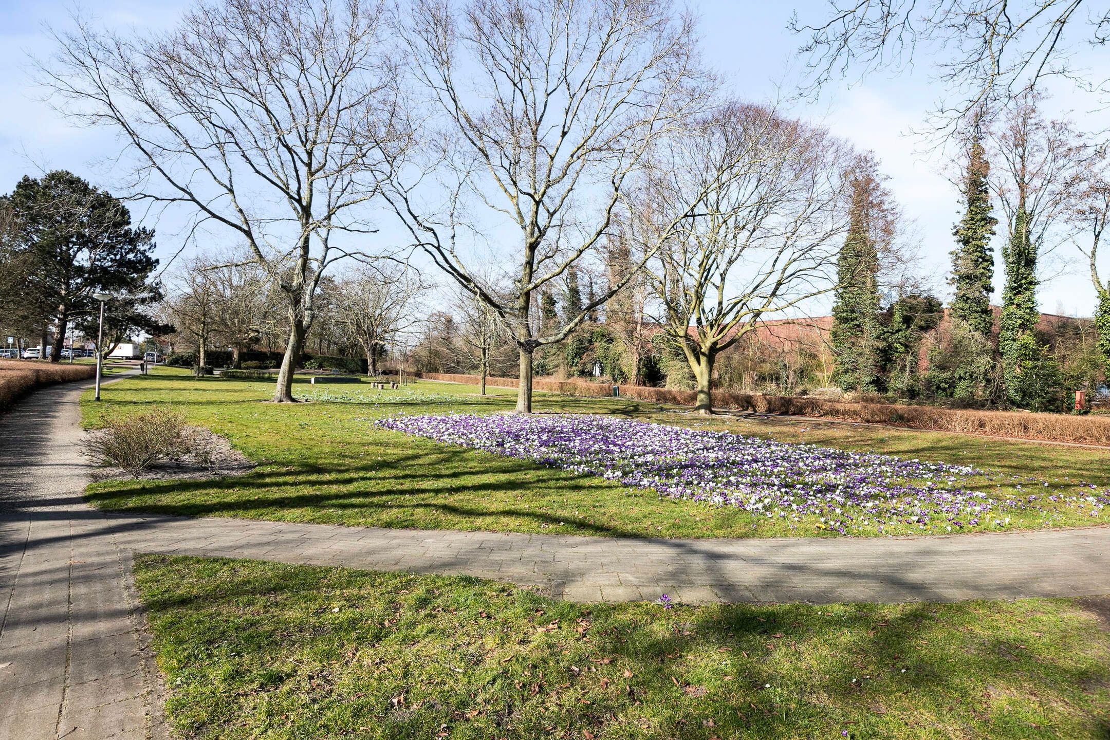 Foto 33 van Van Meerbeekstraat 1