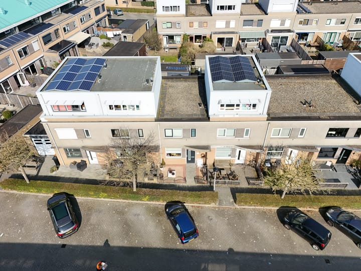 Foto 2 van Hondskruid 6