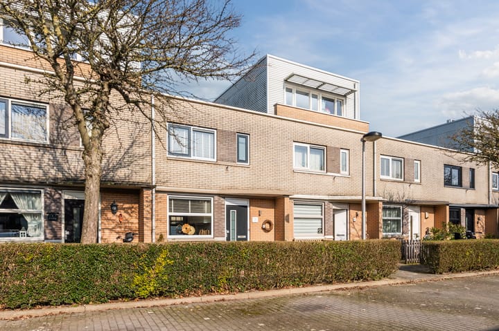 Foto 5 van Hondskruid 6