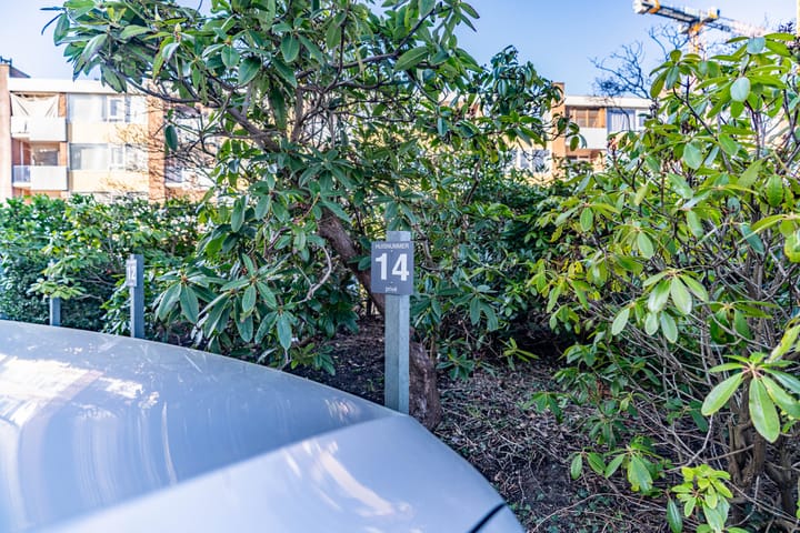 Foto 50 van Jacob van Campenlaan 14