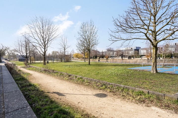 Foto 50 van Eurokade 58