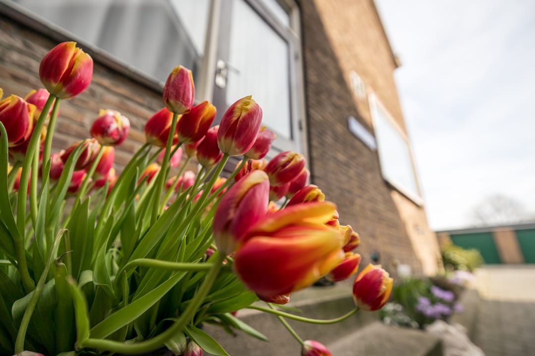 Foto 43 van Broekerhavenweg 40