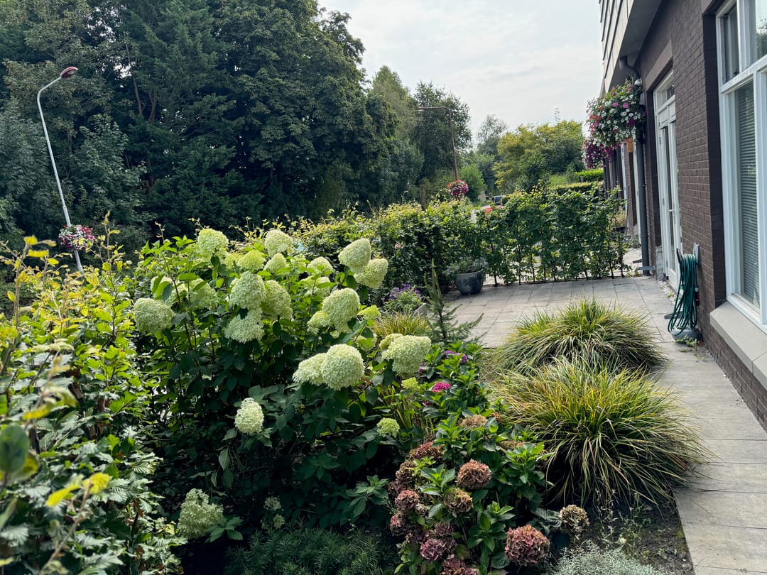 Foto 2 van Burgemeester Kuperusplein 33-A