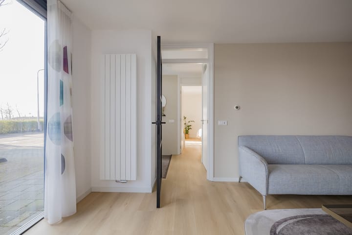 Foto 16 van L. Springerstraat 93