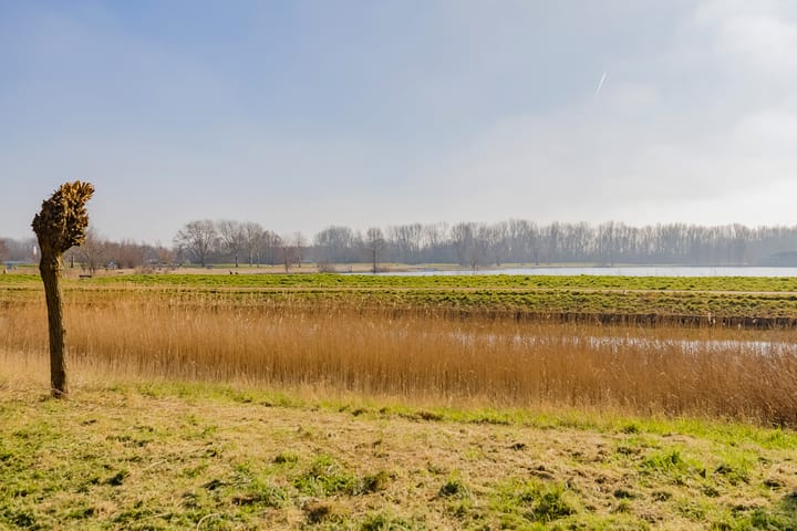 Foto 29 van L. Springerstraat 93