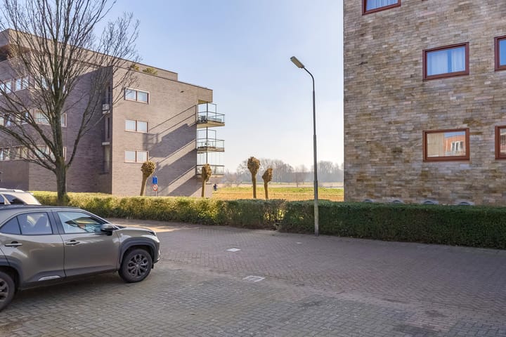 Foto 30 van L. Springerstraat 93