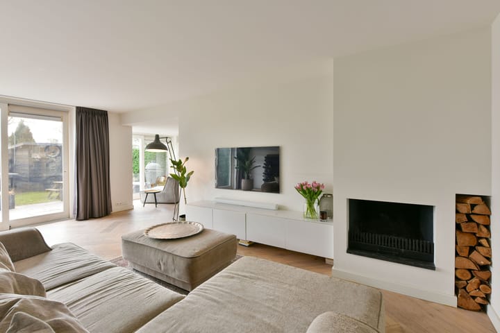 Foto 3 van Scholekster 11