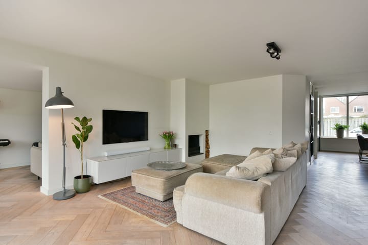 Foto 10 van Scholekster 11