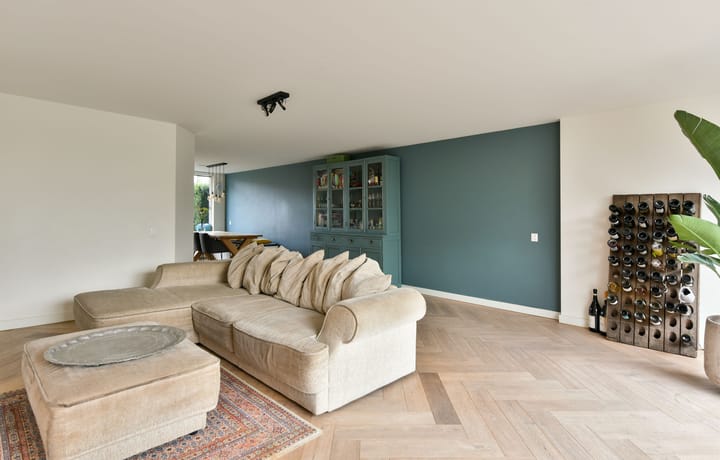 Foto 11 van Scholekster 11