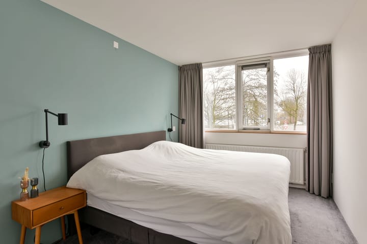 Foto 21 van Scholekster 11