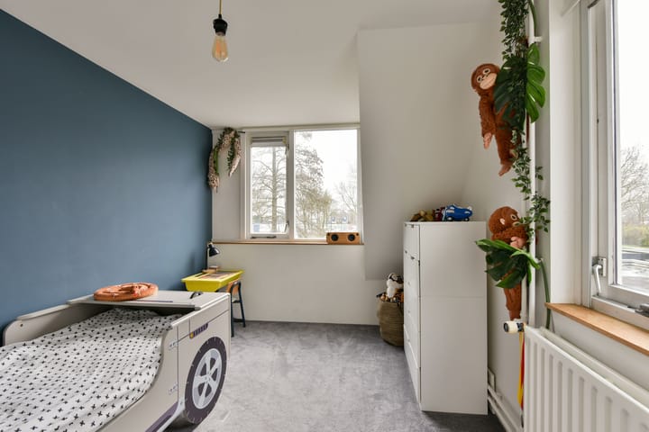 Foto 25 van Scholekster 11