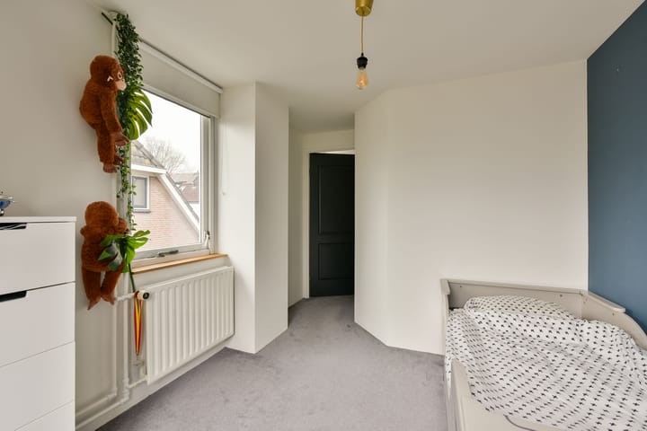 Foto 26 van Scholekster 11