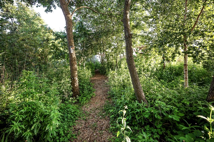 Foto 27 van Arkenpark De Plashoeve 43