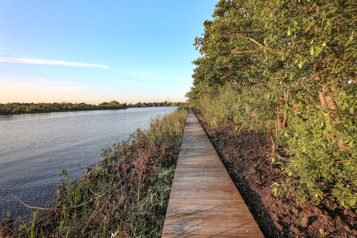 Foto 40 van Arkenpark De Plashoeve 43