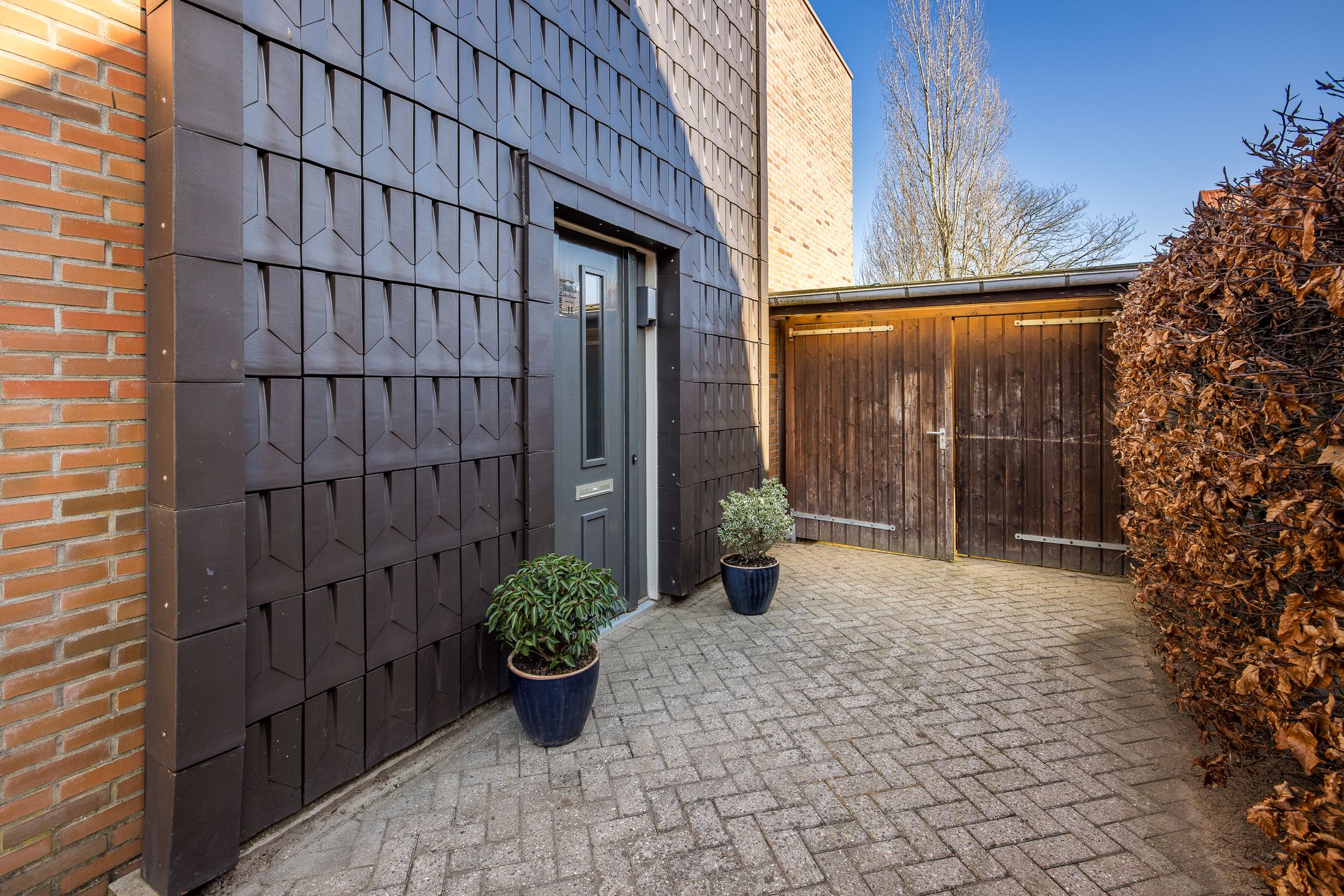 Foto 3 van Pijlstaartvlinder 11