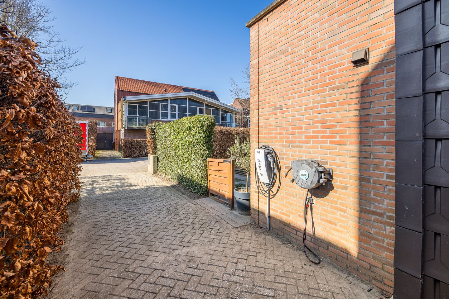 Foto 4 van Pijlstaartvlinder 11