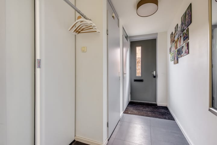 Foto 5 van Pijlstaartvlinder 11