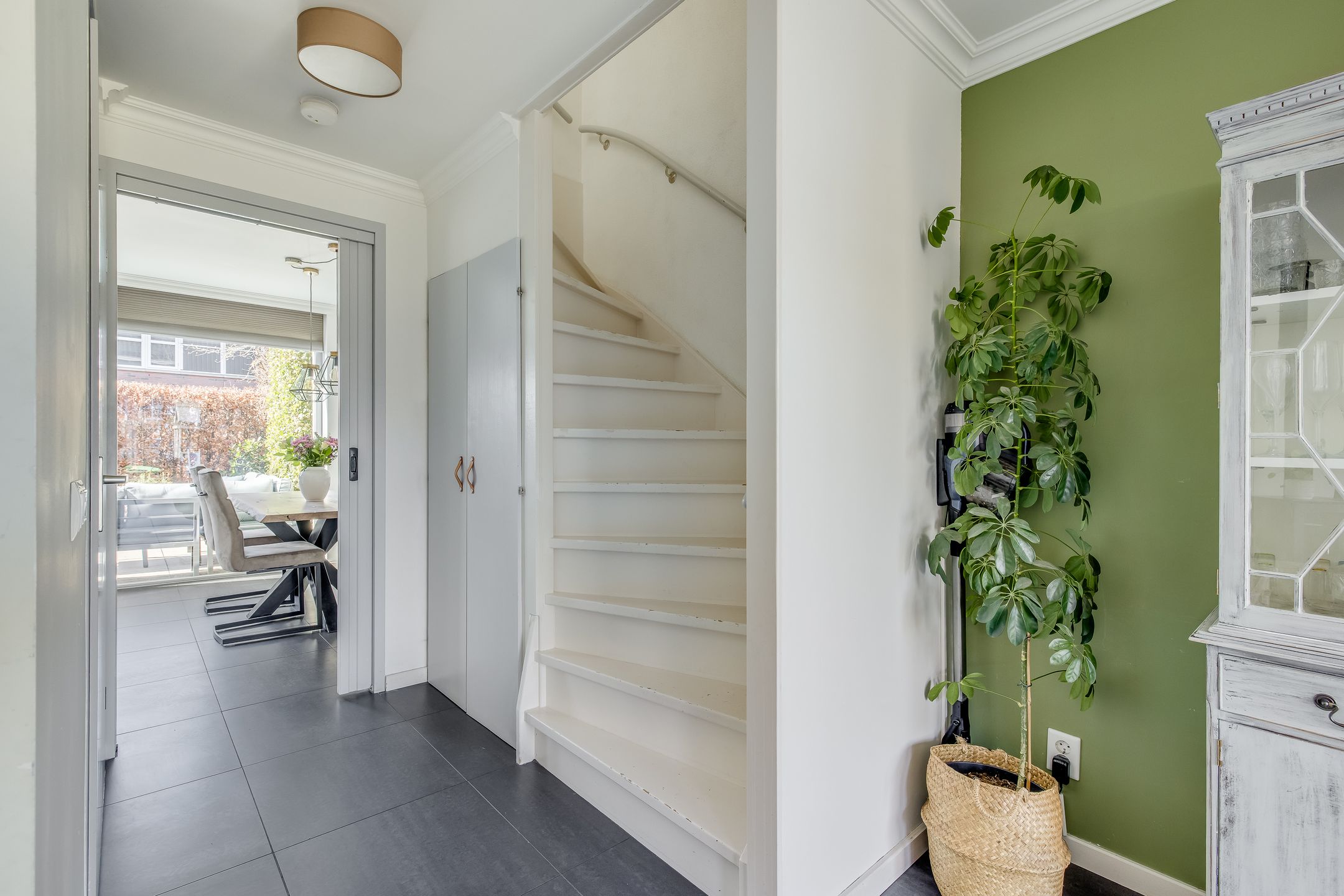 Foto 12 van Pijlstaartvlinder 11