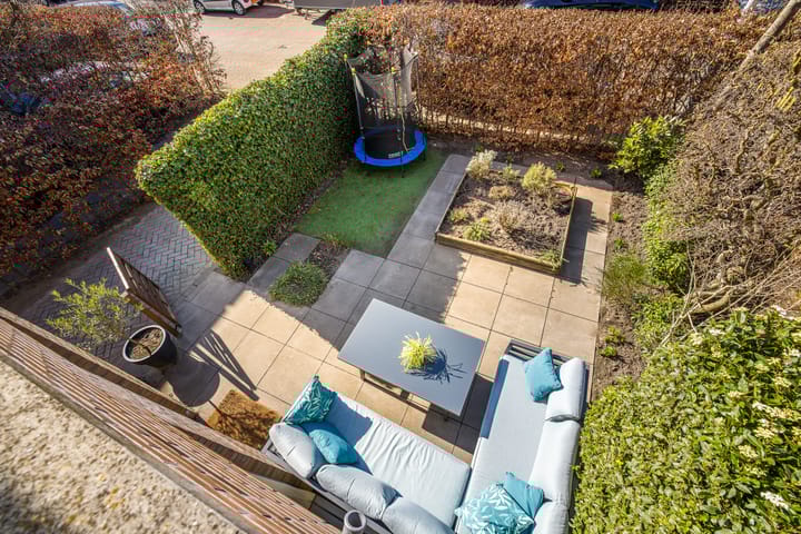 Foto 16 van Pijlstaartvlinder 11