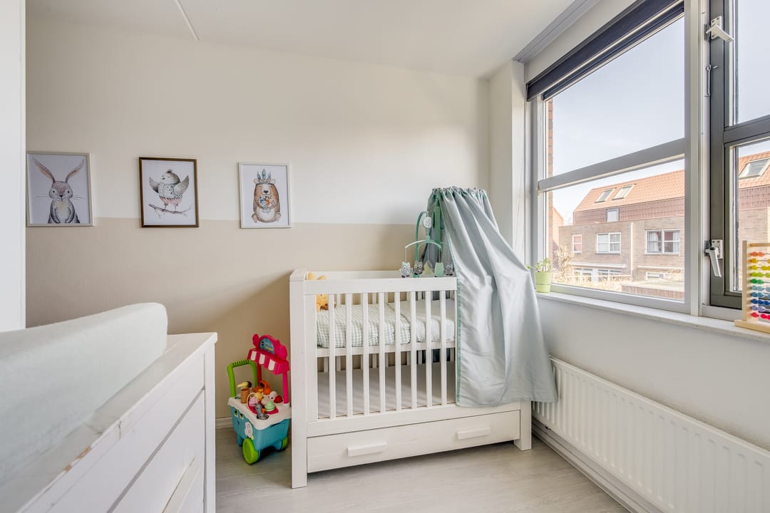 Foto 23 van Pijlstaartvlinder 11