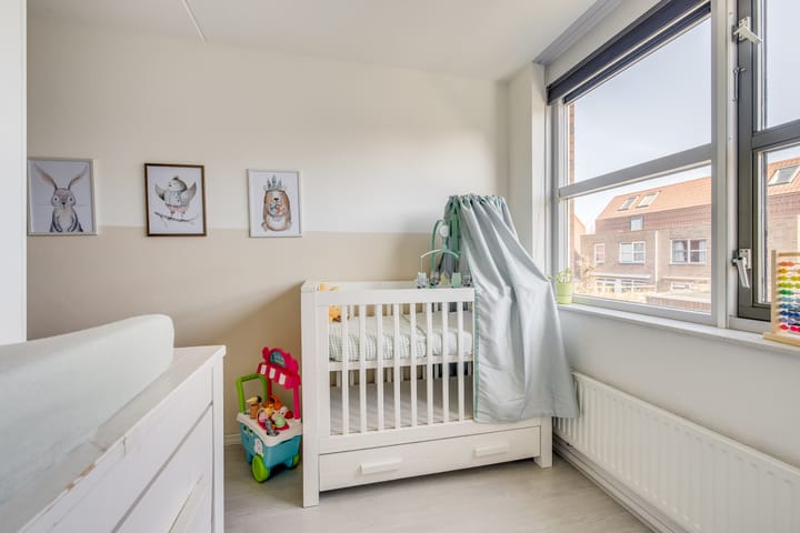 Foto 23 van Pijlstaartvlinder 11