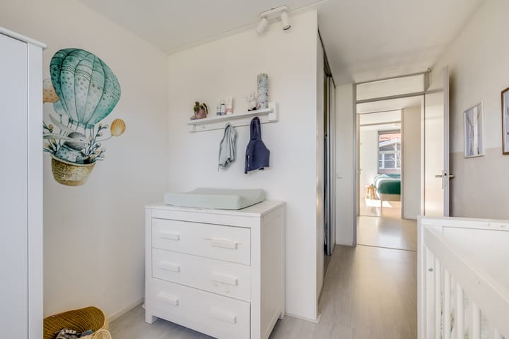 Foto 24 van Pijlstaartvlinder 11