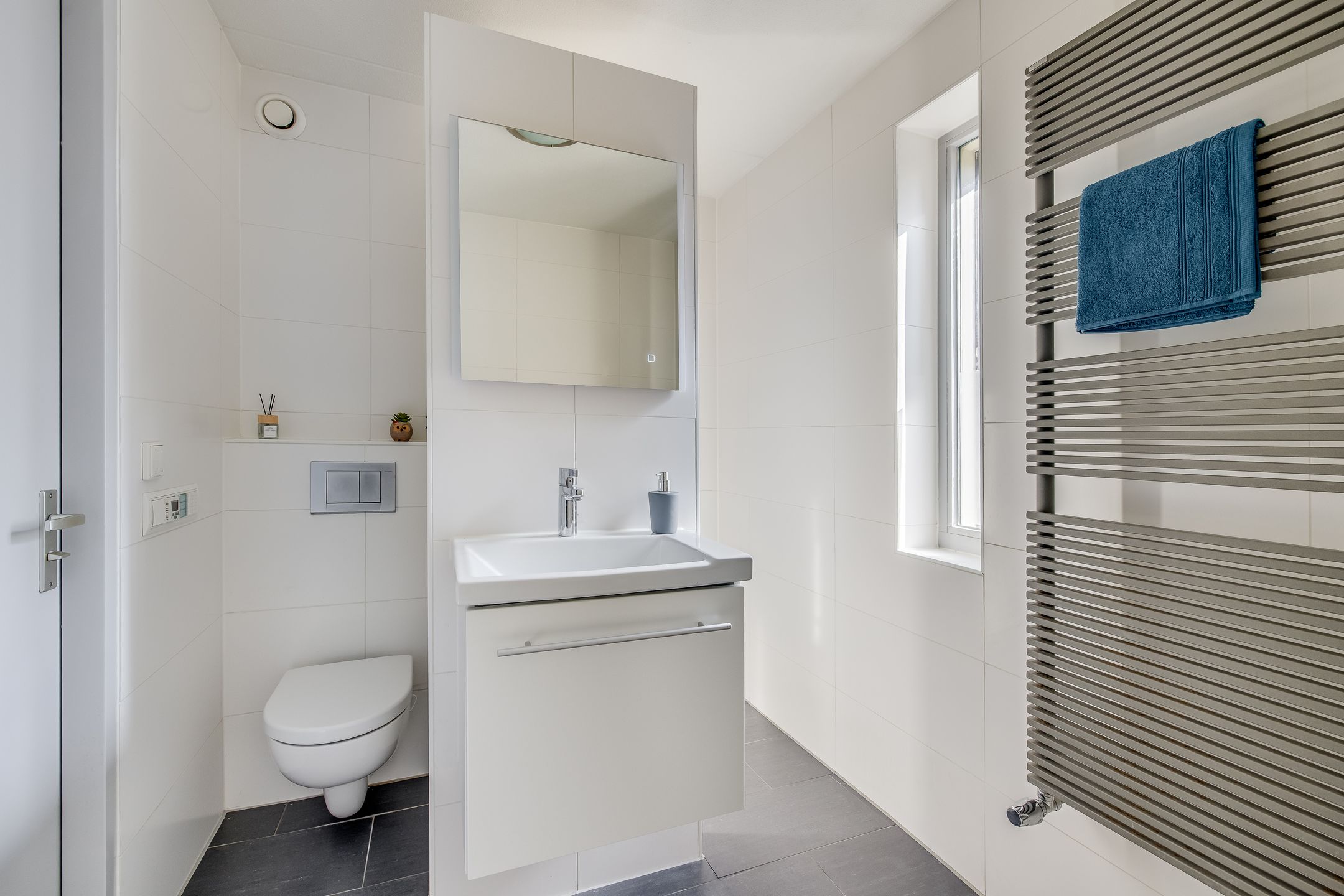 Foto 27 van Pijlstaartvlinder 11