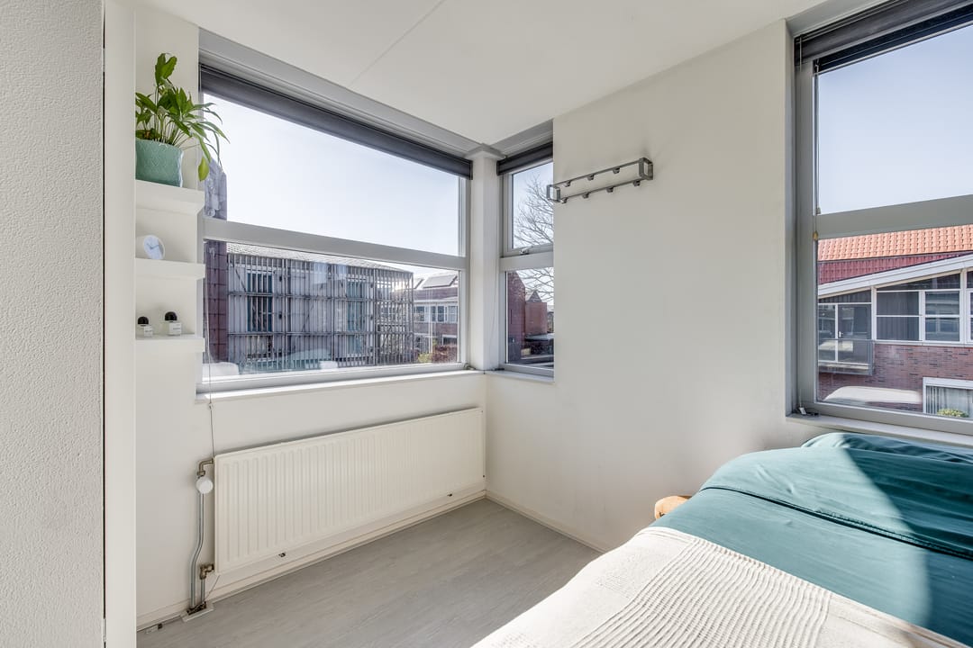 Foto 31 van Pijlstaartvlinder 11