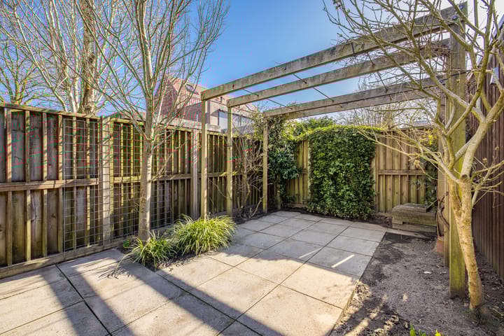 Foto 36 van Pijlstaartvlinder 11